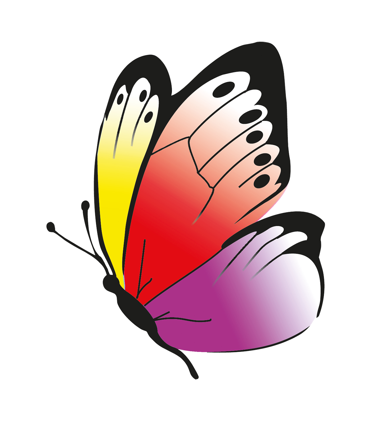 22463-2-illu-rgb