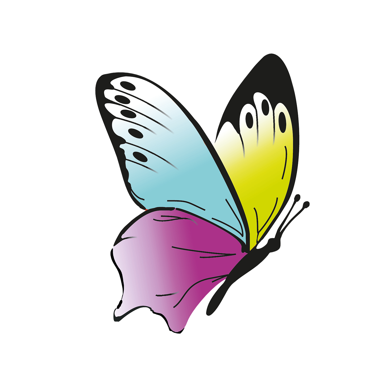 22463-1-illu-rgb
