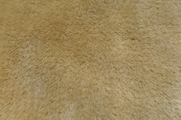 mohair plush 5mm champaigne